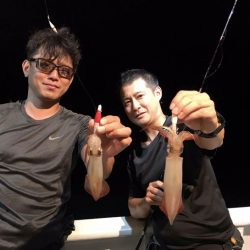 South Current 釣果