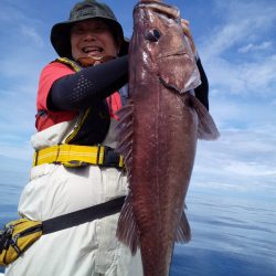 ひな丸 釣果