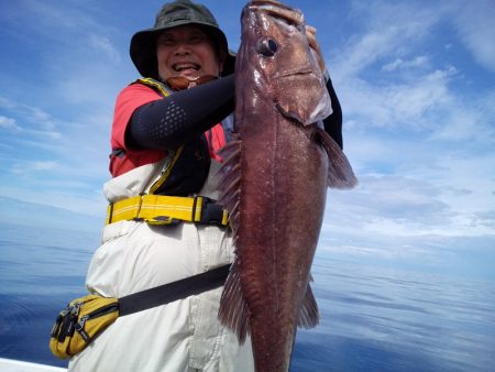 ひな丸 釣果