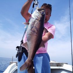 ひな丸 釣果