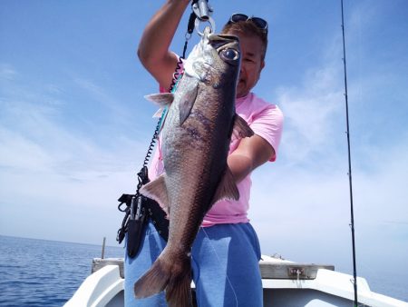 ひな丸 釣果