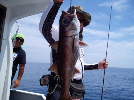 ひな丸 釣果