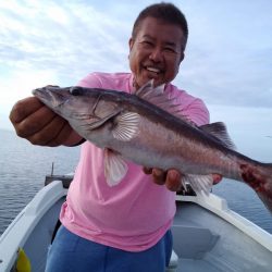 ひな丸 釣果