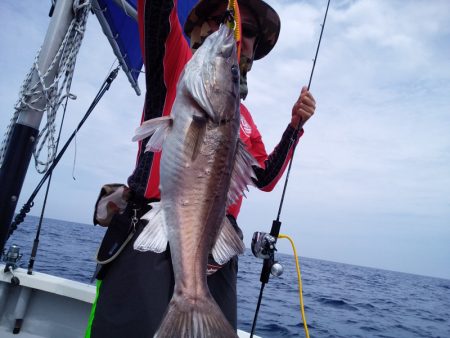 ひな丸 釣果