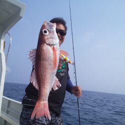 ひな丸 釣果