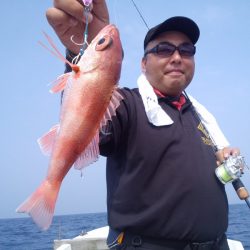 ひな丸 釣果