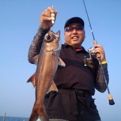 ひな丸 釣果