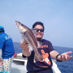 ひな丸 釣果