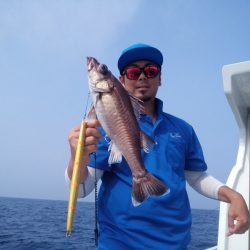 ひな丸 釣果