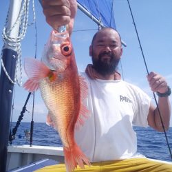 ひな丸 釣果