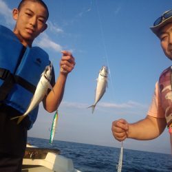 ひな丸 釣果