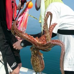 シースナイパー海龍 釣果