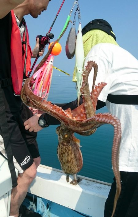 シースナイパー海龍 釣果