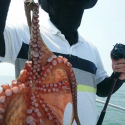 シースナイパー海龍 釣果