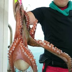 シースナイパー海龍 釣果