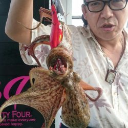 シースナイパー海龍 釣果