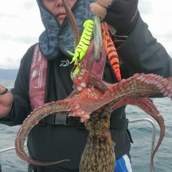 シースナイパー海龍 釣果