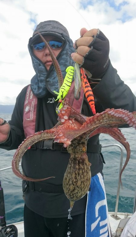 シースナイパー海龍 釣果