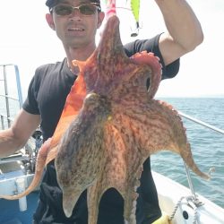 シースナイパー海龍 釣果