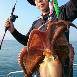 シースナイパー海龍 釣果