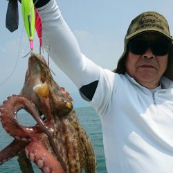 シースナイパー海龍 釣果