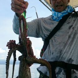 シースナイパー海龍 釣果