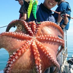 シースナイパー海龍 釣果