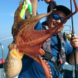 シースナイパー海龍 釣果