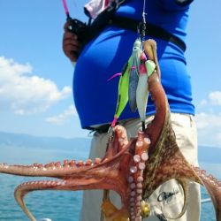 シースナイパー海龍 釣果