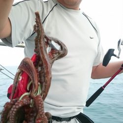 シースナイパー海龍 釣果