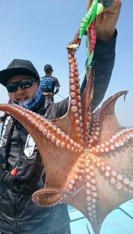 シースナイパー海龍 釣果