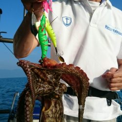 シースナイパー海龍 釣果