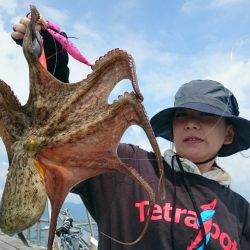 シースナイパー海龍 釣果