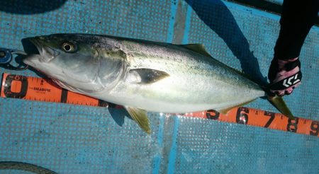 シースナイパー海龍 釣果