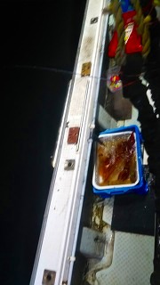 第二清洋丸 釣果