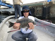 NAGASHIMA MARU(永島丸) 釣果