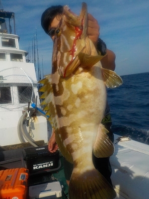 明日丸 釣果