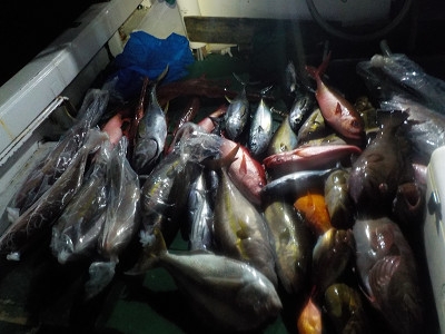 明日丸 釣果