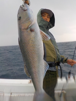 明日丸 釣果