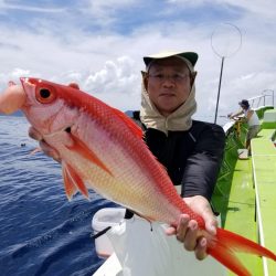 ゆたか丸 釣果