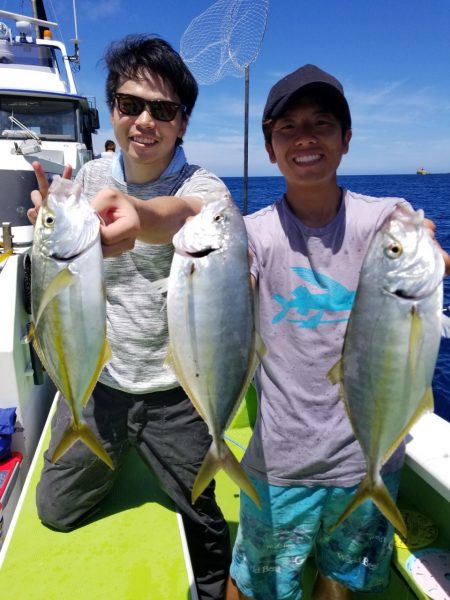 ゆたか丸 釣果