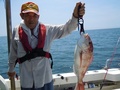 釣船 キティ 釣果