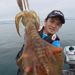 藻場でのデカアオリ狙い釣行記&夏の小鮎釣り【角田裕介氏連載記事浮きアオリイカ釣り 第21弾】