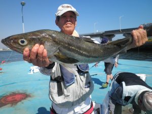 美咲丸 釣果