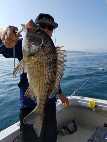 遊漁船　ニライカナイ 釣果