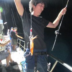 ジギング船 BLUEWATER 釣果