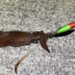 少ないけど、なんとか！