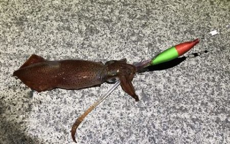 少ないけど、なんとか！