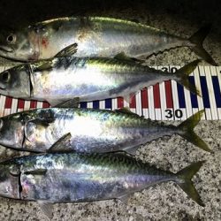 ついに・・・・