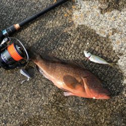 直江津ハッピーにて